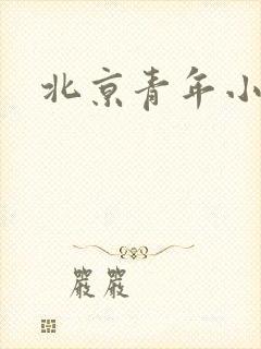 北京青年小说