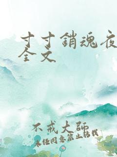 寸寸销魂夜春光全文