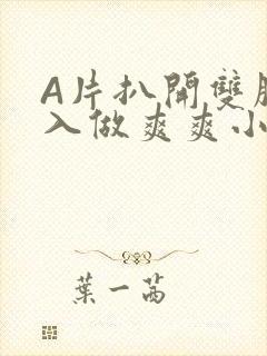 A片扒开双腿进入做爽爽小说