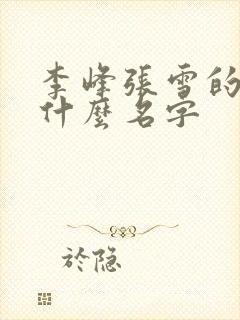 李峰张雪的书叫什么名字