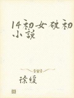 14初女破初的小说
