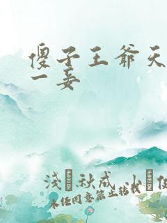 傻子王爷天下第一妾