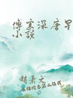 傅寒深唐星挽的小说