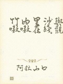 竹内里沙与黑人嗷嗷在线观看