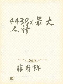 4438x最大人情