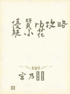 优质rb攻略系统小花