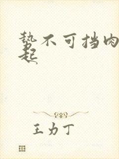 势不可挡肉到飞起