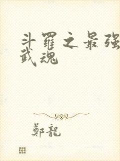 斗罗之最强治疗武魂