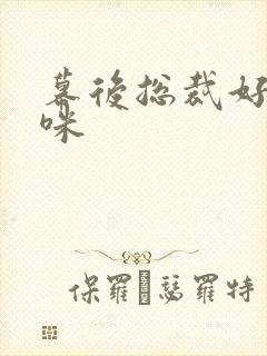 幕后总裁好孕妈咪