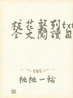 校花系列txt全文阅读目录