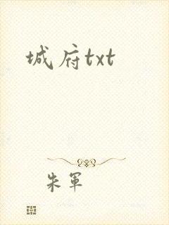 城府txt