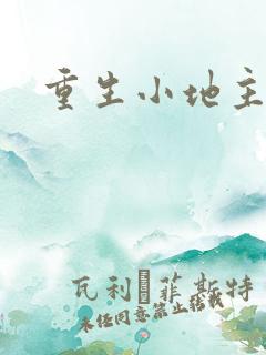 重生小地主u8