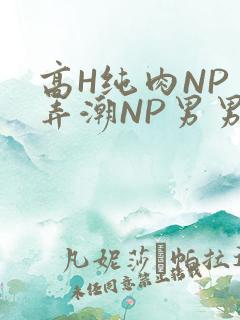 高H纯肉NP 弄潮NP男男