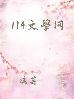 114文学网