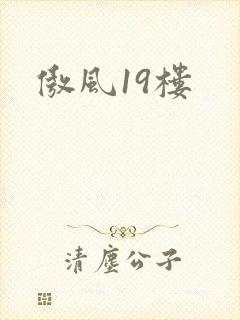 傲风19楼
