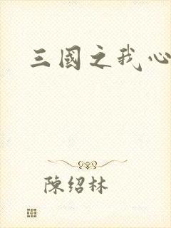 三国之我心狂想
