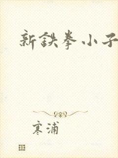新铁拳小子