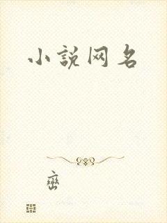 小说网名