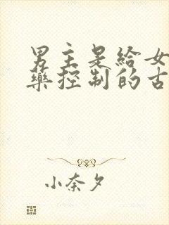 男主是给女主喂药控制的古言