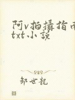 阿v拍摄指南说txt小说