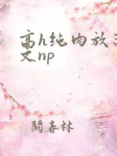 高h纯肉放荡h文np