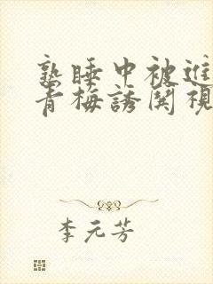 熟睡中被进了H青梅诱哄视频