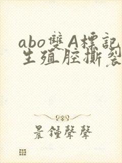 abo双A标记生殖腔撕裂