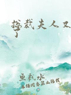 总裁夫人又征婚了