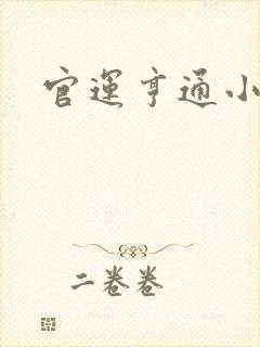 官运亨通小说