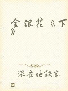 金银花《下厨房》