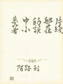 梦中的那片海原著小说在线阅读