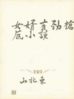 女婿有劲枪枪到底小说