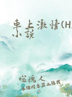 车上激情(H)小说