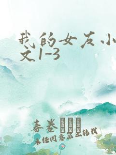我的女友小洁全文1-3