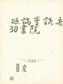 砸锅卖铁去上学30书院