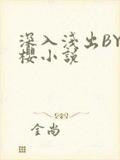 深入浅出BY胖樱小说