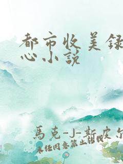 都市收美录宁素心小说