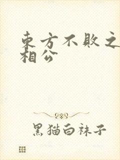 东方不败之狐狸相公
