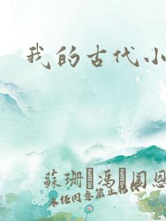 我的古代小夫侍
