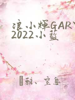 浪小辉GARY2022小蓝