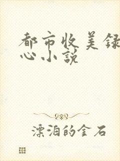 都市收美录宁素心小说