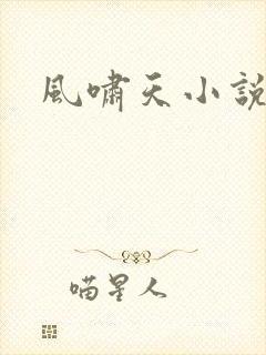 风啸天小说