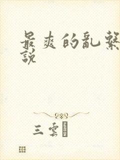 最爽的乱系列小说