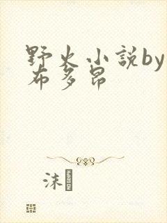 野火小说by夏布多昂