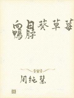 向日葵草莓丝瓜鸭脖