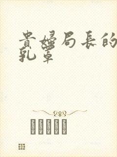 贵妇局长的蕾丝乳罩