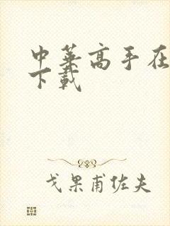 中华高手在异世下载