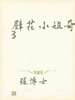 壁花小姐奇遇记3