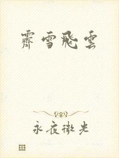 霁雪飞云