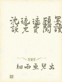 沈琉璃顾墨枫小说免费阅读